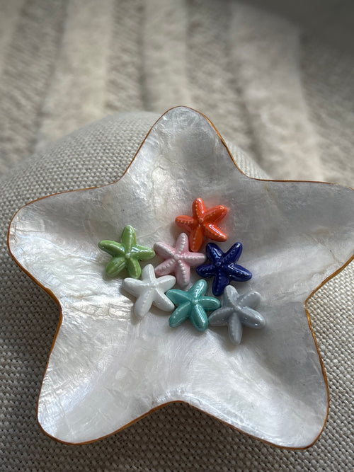 Breloque Étoile de mer colorée