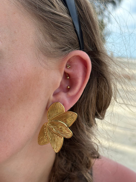 Boucles selenea