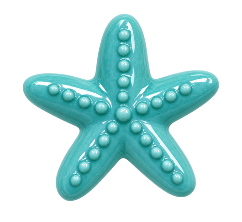 Breloque Étoile de mer colorée