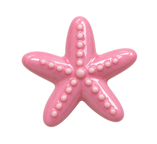 Breloque Étoile de mer colorée