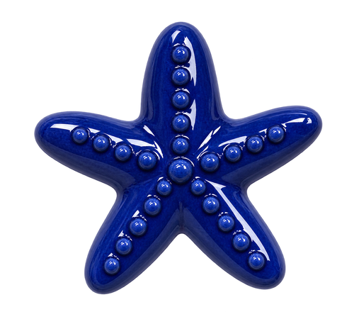 Breloque Étoile de mer colorée