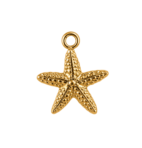 Breloque Étoile de mer