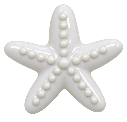 Breloque Étoile de mer colorée